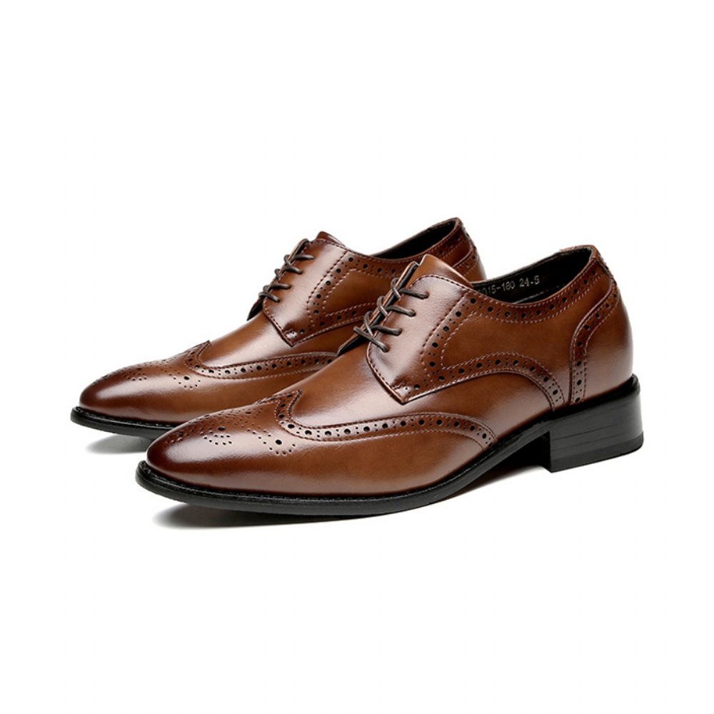 Chaussures Brogue Formelles Pour Hommes Cuir Vache À Bout Ciselé - Brun