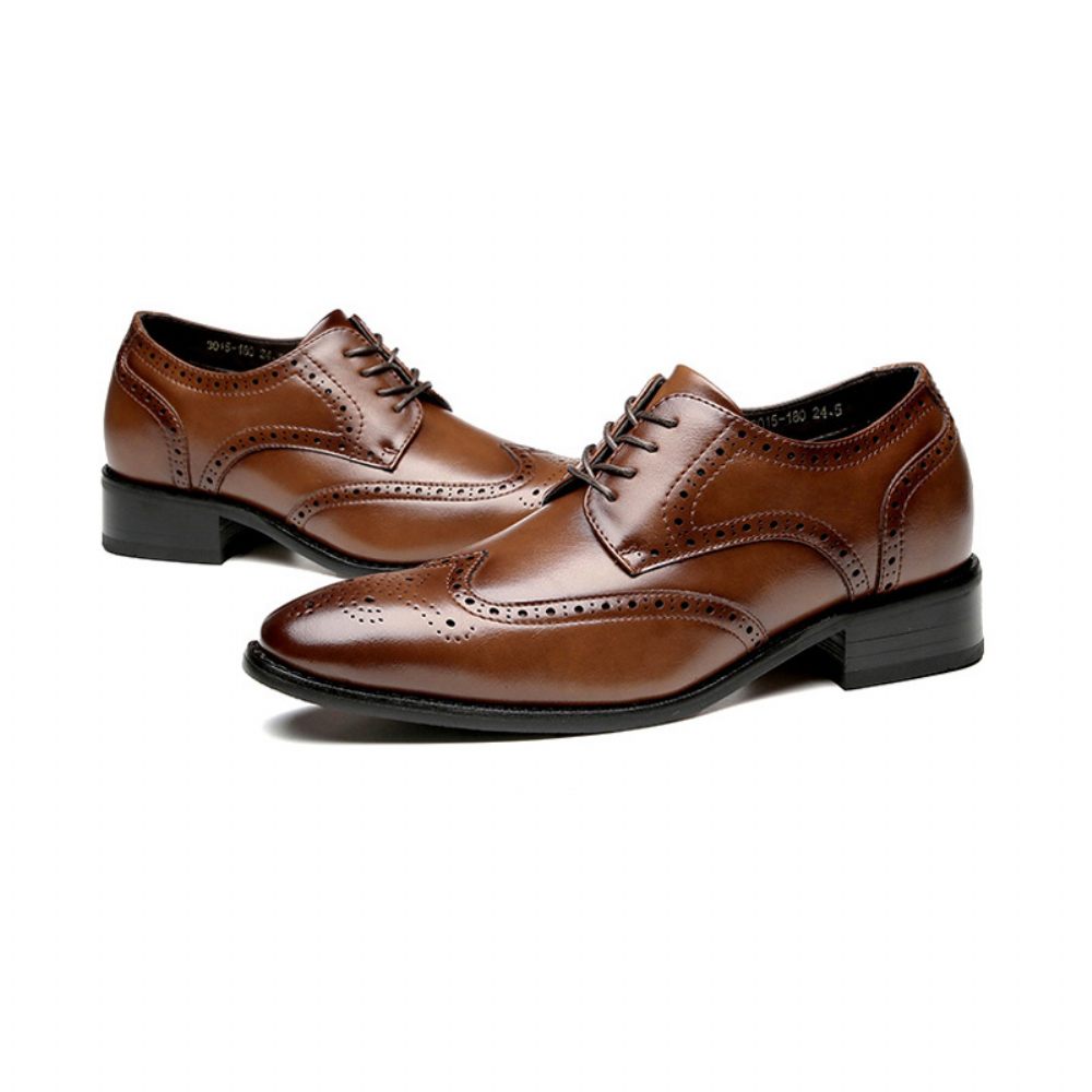 Chaussures Brogue Formelles Pour Hommes Cuir Vache À Bout Ciselé - Brun