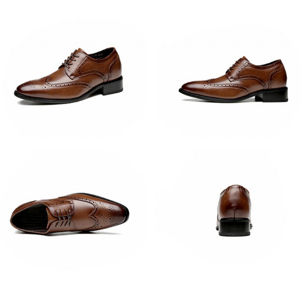 Chaussures Brogue Formelles Pour Hommes Cuir Vache À Bout Ciselé - Brun