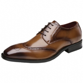 Chaussures Formelles Pour Hommes Brogue À Lacets Cuir Vache Bout Pointu