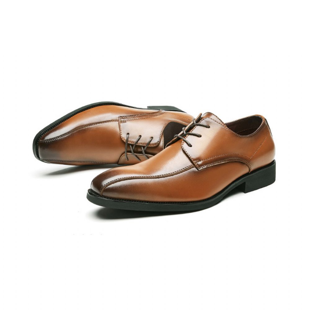 Chaussures Formelles Pour Hommes Derby À Lacets Bout Pointu Semelle Souple Cuir Vache - Brun