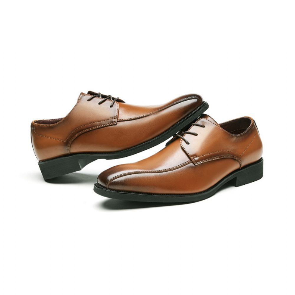 Chaussures Formelles Pour Hommes Derby À Lacets Bout Pointu Semelle Souple Cuir Vache - Brun