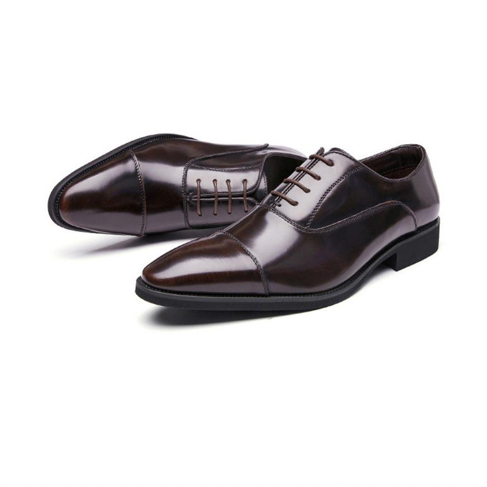 Chaussures Formelles Pour Hommes Oxford Cuir Vache À Bout Pointu - Brun