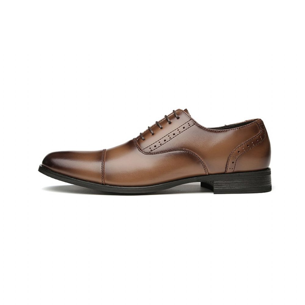 Chaussures Formelles Oxford Pour Hommes Cuir Vache Sculpté À Bout Rond 5 Œillets - Brun