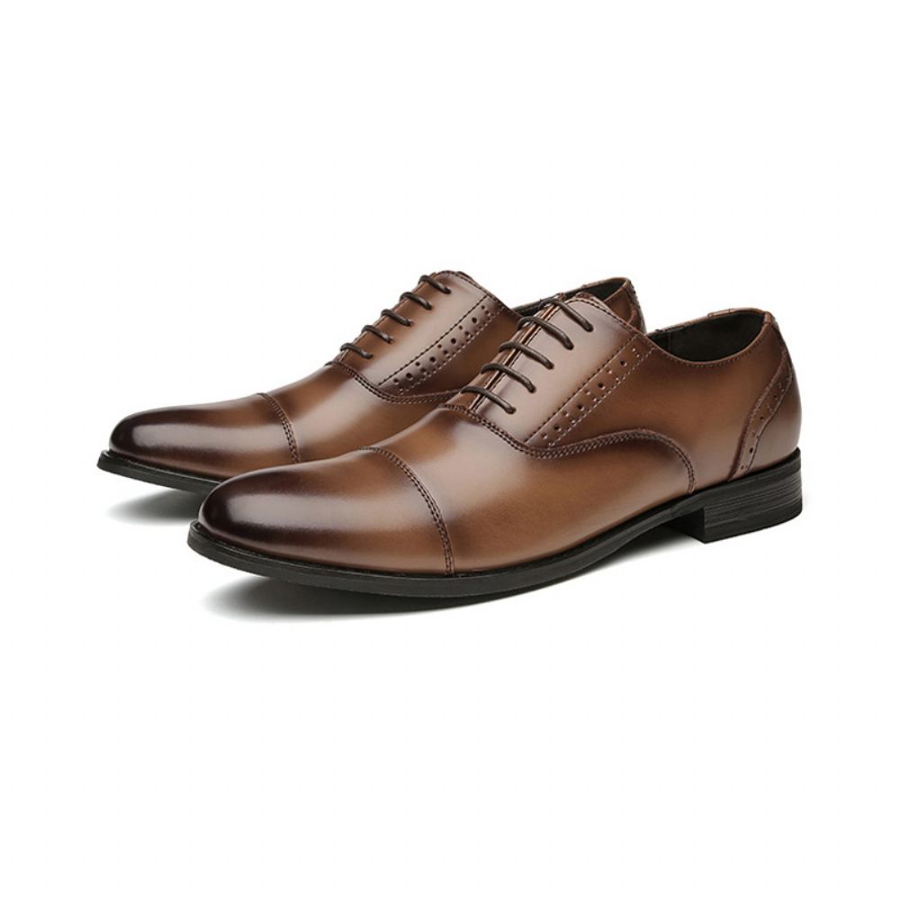 Chaussures Formelles Oxford Pour Hommes Cuir Vache Sculpté À Bout Rond 5 Œillets - Brun