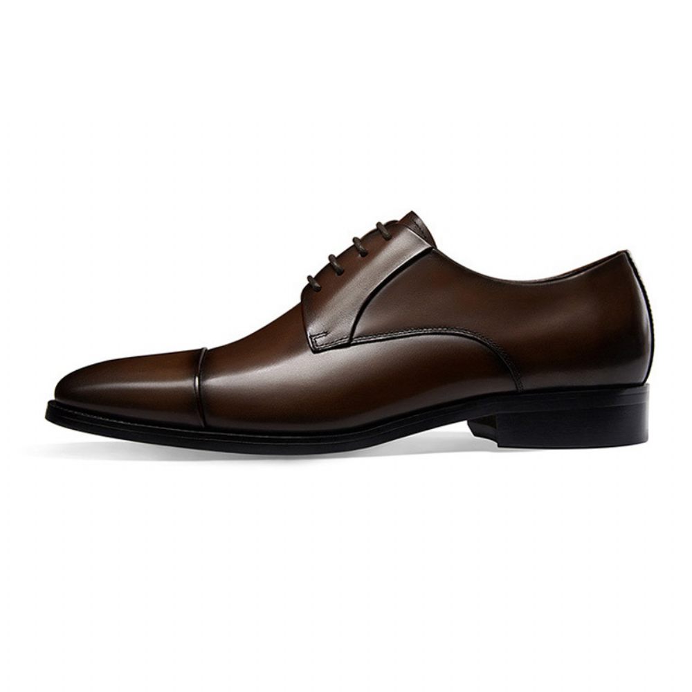 Chaussures Habillées Pour Hommes Bout Rond Derby À Lacets Cuir Vache 4 Œillets - Brun