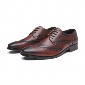 Chaussures Habillées Pour Hommes Brogue Bout Pointu Cuir Vache Sculpté Derby À Lacets 4 Œillets