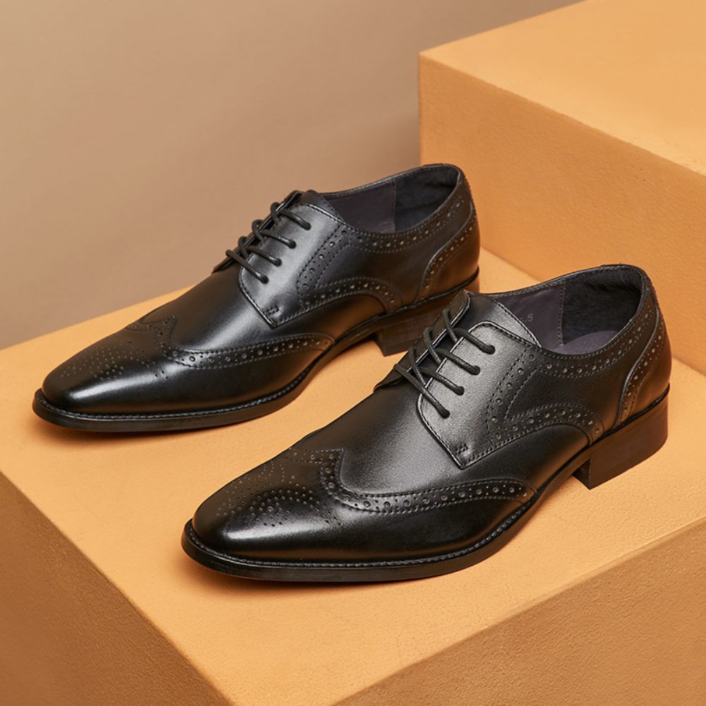 Chaussures Habillées Pour Hommes Brogue Bout Pointu Cuir Vache Sculpté Derby À Lacets 4 Œillets - Noir