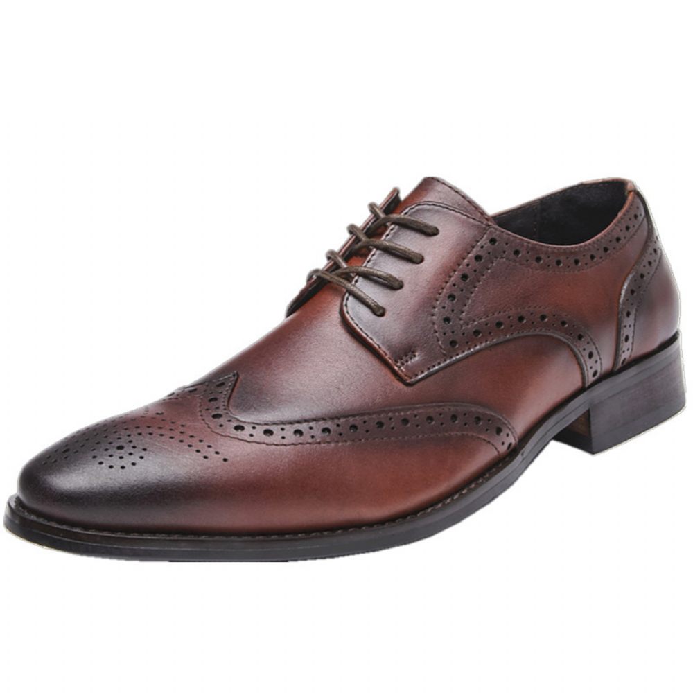 Chaussures Habillées Pour Hommes Brogue Bout Pointu Cuir Vache Sculpté Derby À Lacets 4 Œillets - Brun