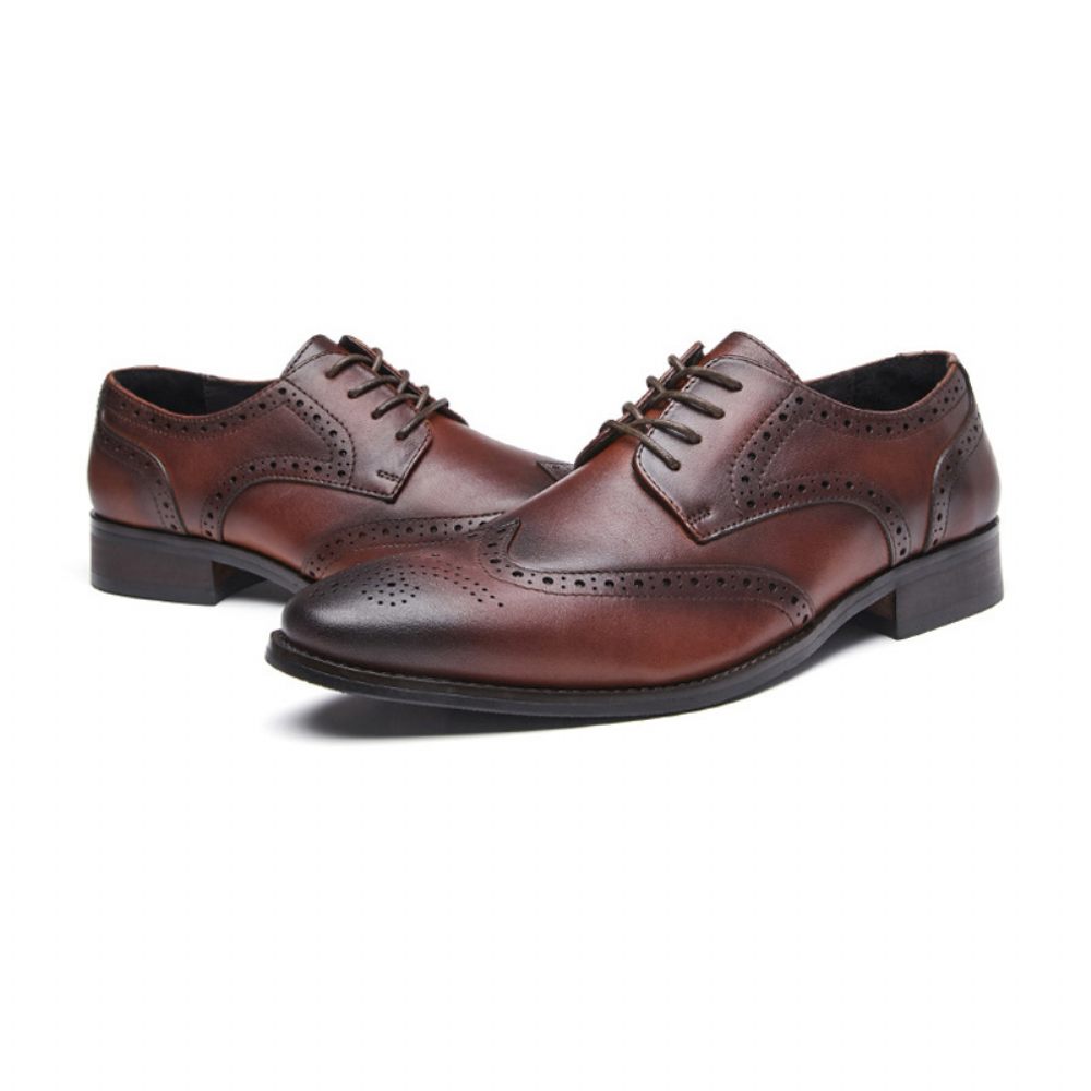 Chaussures Habillées Pour Hommes Brogue Bout Pointu Cuir Vache Sculpté Derby À Lacets 4 Œillets - Brun