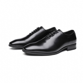 Chaussures Habillées Pour Hommes Oxford Cuir Vache À Lacets Et Bout Pointu