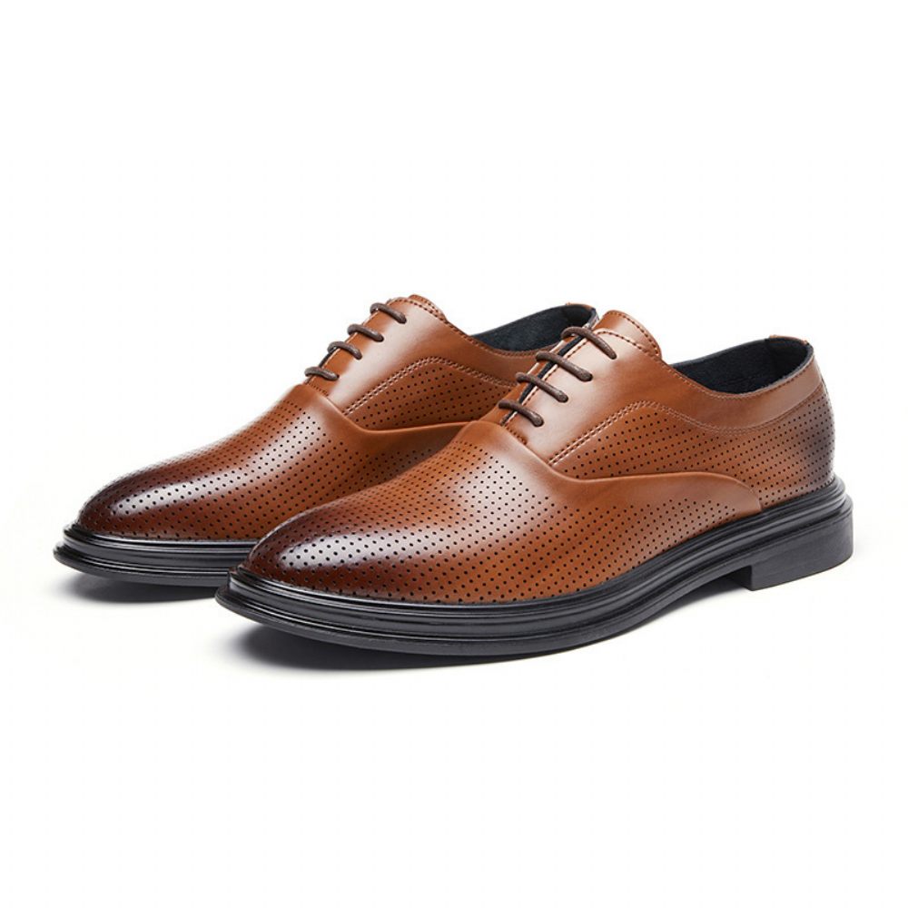 Chaussures Habillées Pour Hommes Oxford Cuir Vache Respirant Bout Pointu À Lacets 3 Œillets