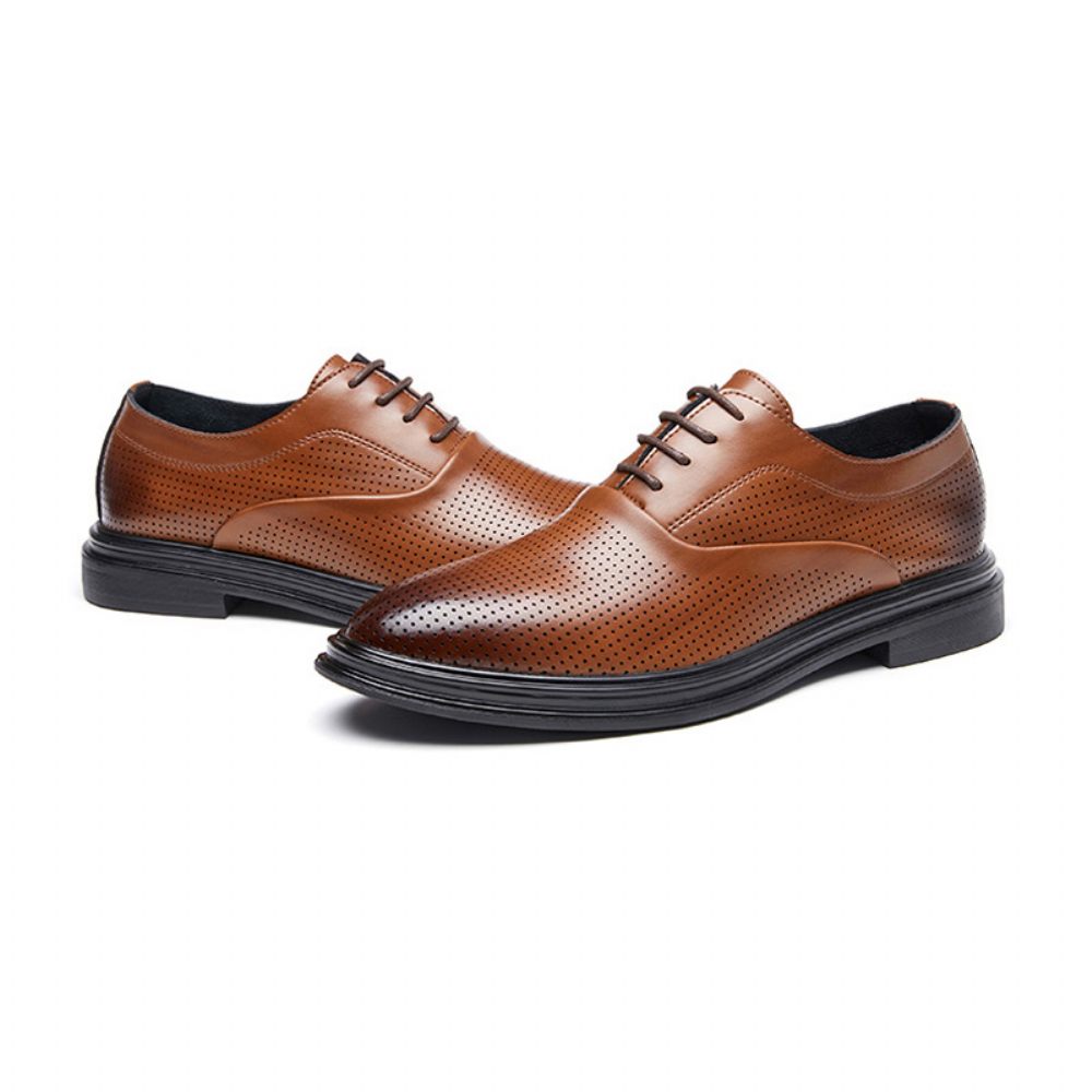 Chaussures Habillées Pour Hommes Oxford Cuir Vache Respirant Bout Pointu À Lacets 3 Œillets - Brun