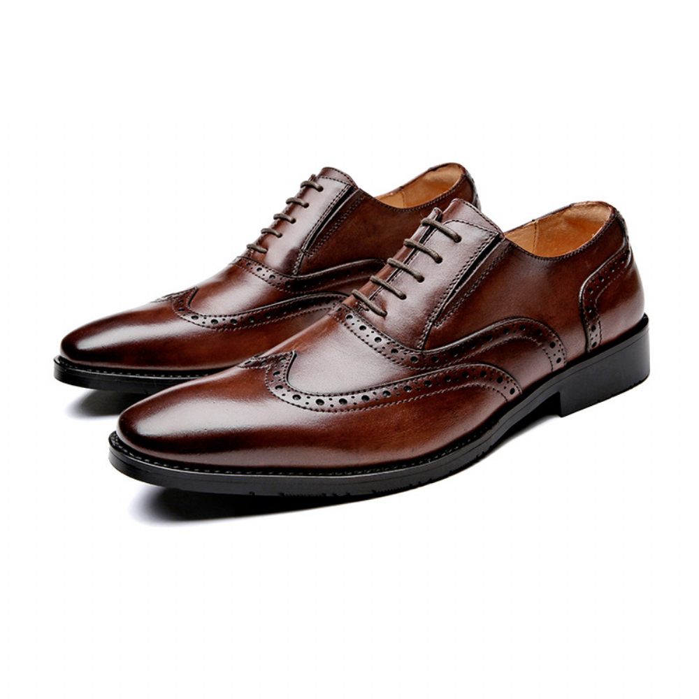 Chaussures Habillées Sculptées Brogue Pour Hommes Cuir Vache À 5 Œillets Respirantes