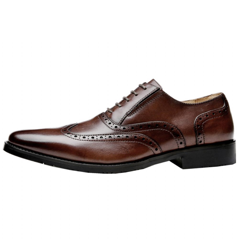 Chaussures Habillées Sculptées Brogue Pour Hommes Cuir Vache À 5 Œillets Respirantes - Noir