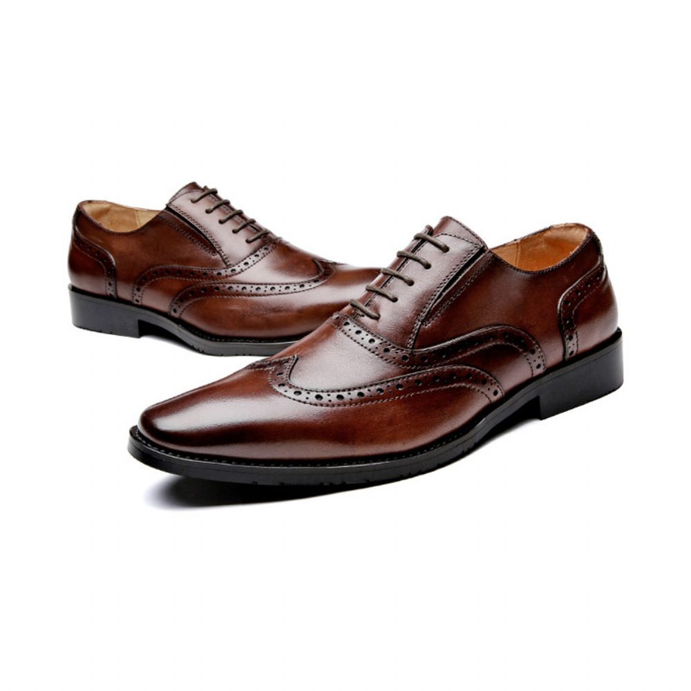 Chaussures Habillées Sculptées Brogue Pour Hommes Cuir Vache À 5 Œillets Respirantes - Noir