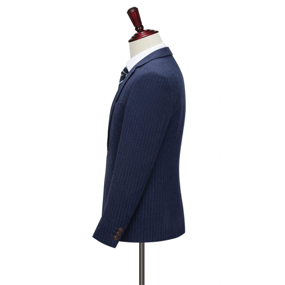 Costume 3 Pièces Pour Hommes Motif À Rayures Un Bouton Élégant Formel Slim - Bleu